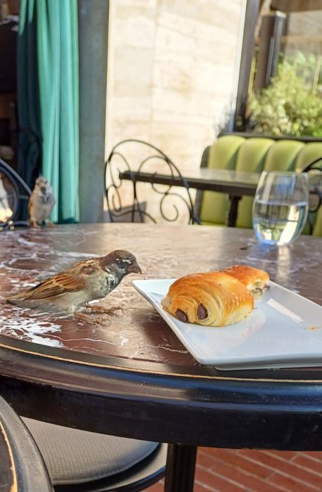 Salon du livre Monaco